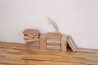 http://www.jeanpierregilbert.ca/files/gimgs/th-11_JPG51-re.jpg