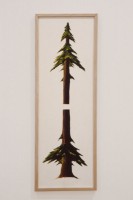 http://www.jeanpierregilbert.ca/files/gimgs/th-11_JPG53-re.jpg