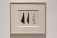 http://www.jeanpierregilbert.ca/files/gimgs/th-11_JPG56-re.jpg