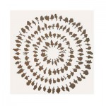 http://www.jeanpierregilbert.ca/files/gimgs/th-12_JPG63.jpg