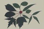 http://www.jeanpierregilbert.ca/files/gimgs/th-13_JPG70.jpg