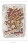 http://www.jeanpierregilbert.ca/files/gimgs/th-13_JPG752w_v2.jpg