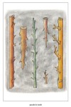 http://www.jeanpierregilbert.ca/files/gimgs/th-13_JPG757w.jpg