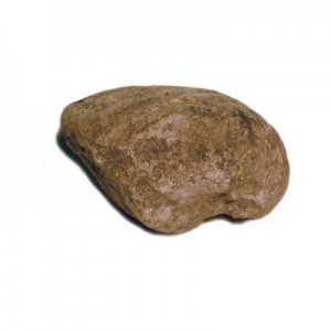 http://www.jeanpierregilbert.ca/files/gimgs/th-22_JPG-demarche2.jpg